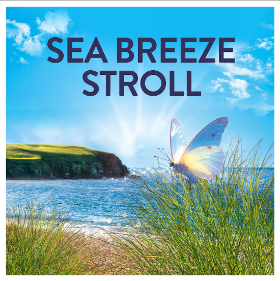 Lenor Outdoorable Fabric Conditioner Sea Breeze Stroll 69 Washes